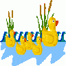 Rubber Ducks Ganson Recreation title=