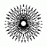 Star 35pt16step Shape