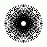 Star 68pt31step Shape