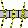 Knot Clove Hitch Transport