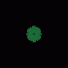 Conifer 0 Symbol 1m Bwh Symbol