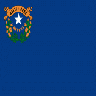 Usa Nevada Symbol