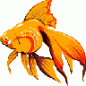 PESCETTO Other