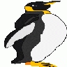 Pinguino1 Other