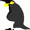 Pinguino2 Other