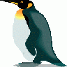 Pinguino4 Other
