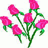 ROSE Other title=