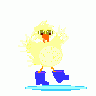 Logo Animals Birds 039 Animated title=