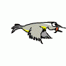 Logo Animals Birds 033 Animated title=
