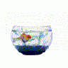 Logo Animals Fish 043 Animated