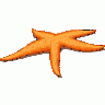 Logo Animals Fish 003 Animated title=