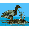 Logo Animals Ducks 021 Animated title=
