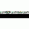Logo Animals Reptiles 044 Animated title=