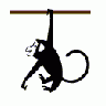 Logo Animals Jungle 044 Animated