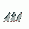 Logo Animals Penguins 009 Animated title=