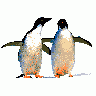 Logo Animals Penguins 002 Animated title=