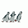Logo Animals Penguins 007 Animated title=