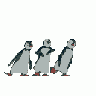 Logo Animals Penguins 007 Animated